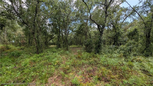 Sasser Rd, Zolfo Springs, FL 33890