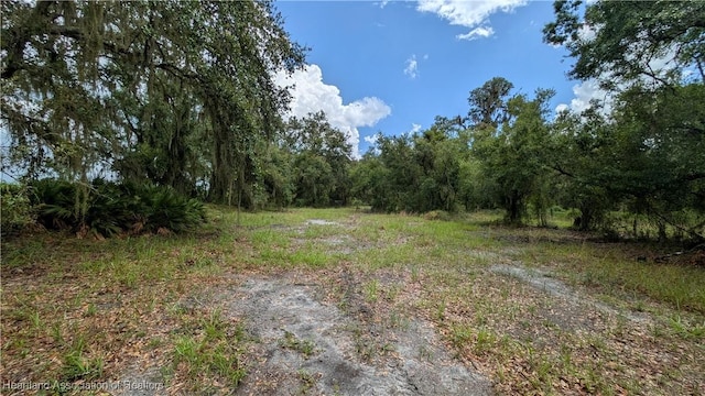 Sasser Rd, Zolfo Springs, FL 33890