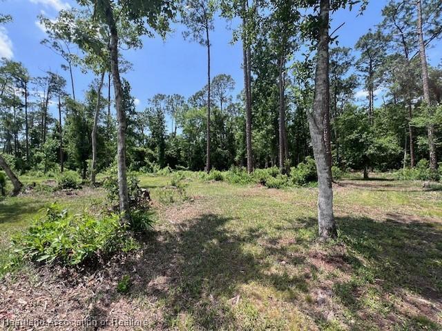 125 Otter Trl, Sebring, FL 33875 - photo 37