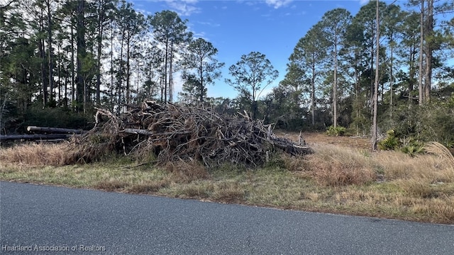 Listing photo 3 for 635 Daffodil St, Lake Placid FL 33852