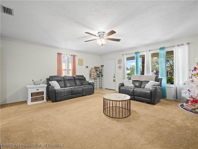 carpeted living room featuring ceiling fan, crown molding, and a textured ceiling