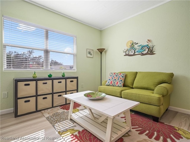 living room with light hardwood / wood-style flooring