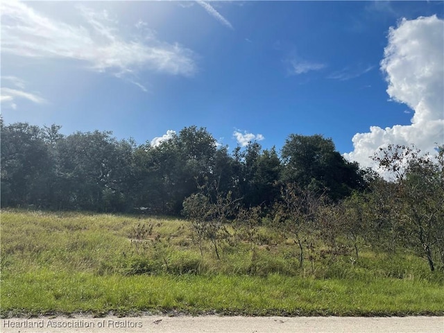 3191 N Pocatello Rd, Avon Park FL, 33825 land for sale