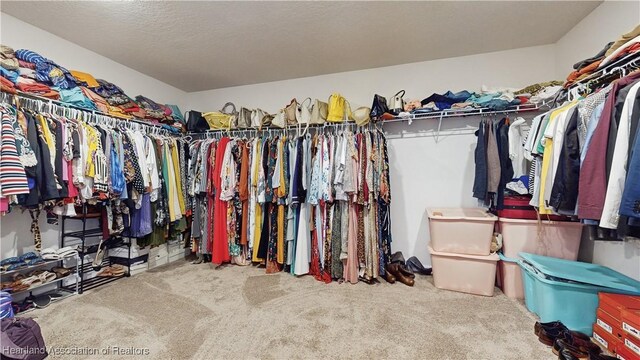 1076 Sugarwood St, Davenport, FL 33837 - spacious closet featuring carpet floors