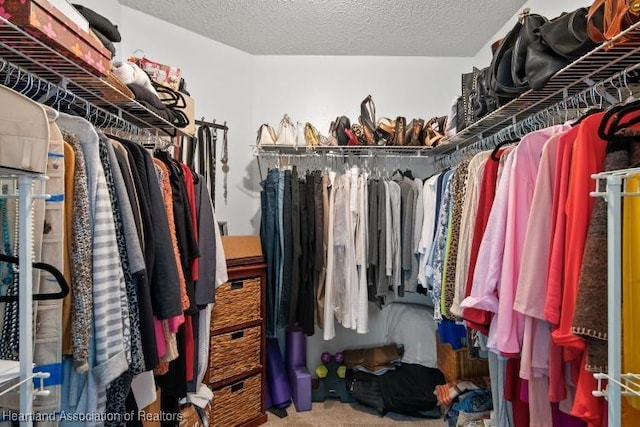 spacious closet featuring carpet floors