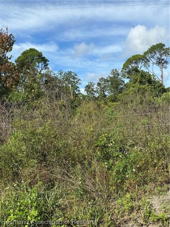 603 Daytona Ave, Lake Placid FL, 33852 land for sale