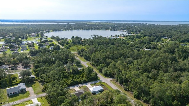 1100 Redbird St, Lake Placid, FL 33852 - view of property location with a forest and a nearby body of water