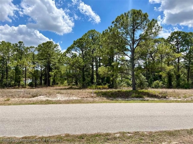 668 Lake Tina Dr, Lake Placid FL, 33852 land for sale