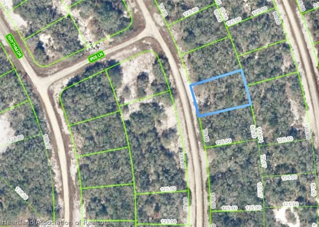 269 Dargen Dr, Lake Placid FL, 33852 land for sale