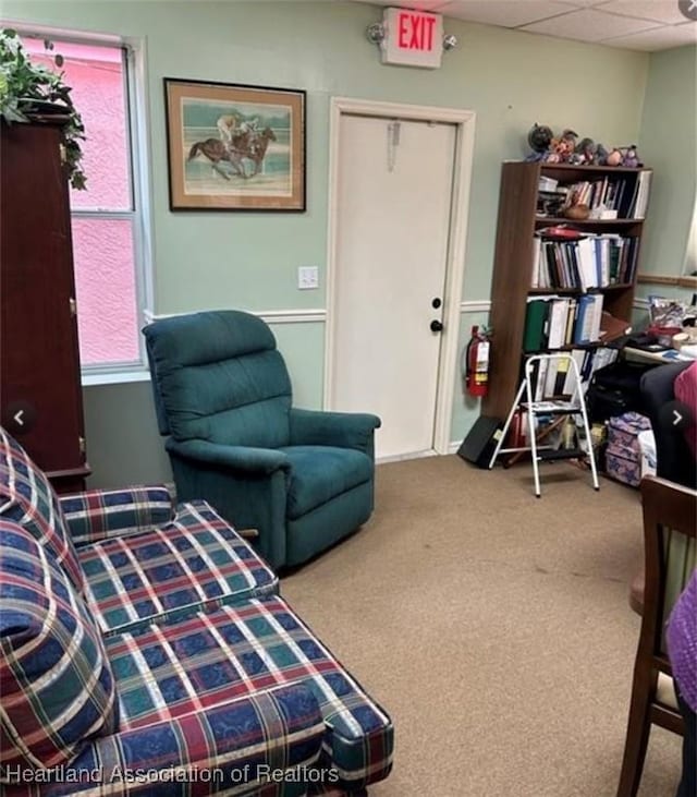 bedroom with a drop ceiling, multiple windows, a closet, and carpet