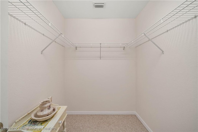 walk in closet featuring carpet flooring