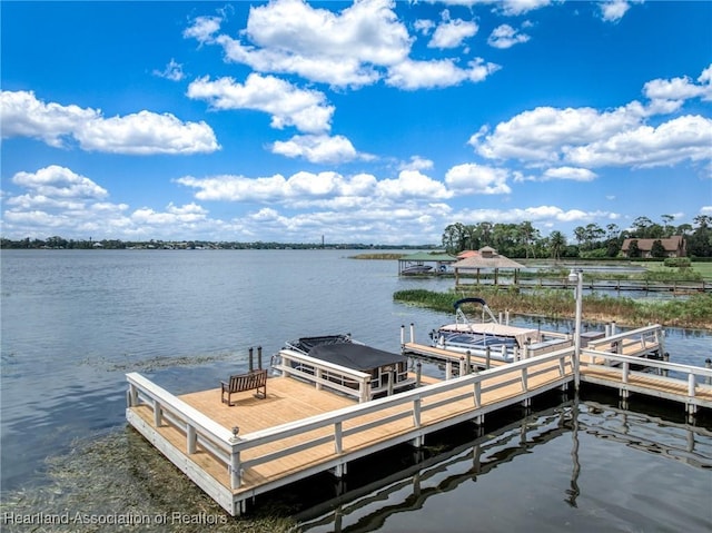 dock area featuring a water view