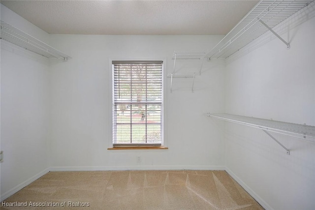 walk in closet featuring carpet floors