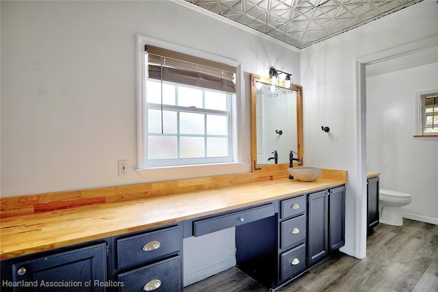 bathroom featuring hardwood / wood-style flooring, vanity, and toilet