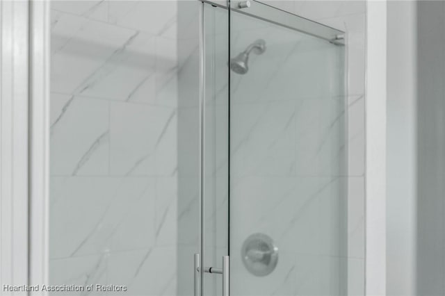 details featuring a shower with shower door