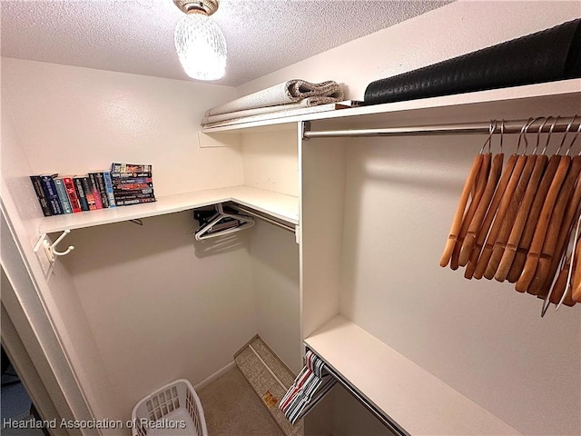 walk in closet with carpet