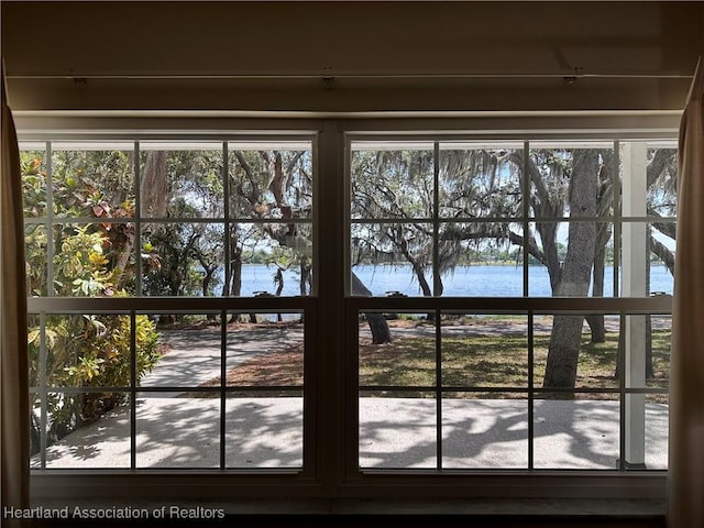 doorway with a wealth of natural light and a water view