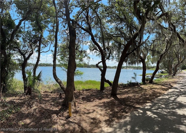 property view of water