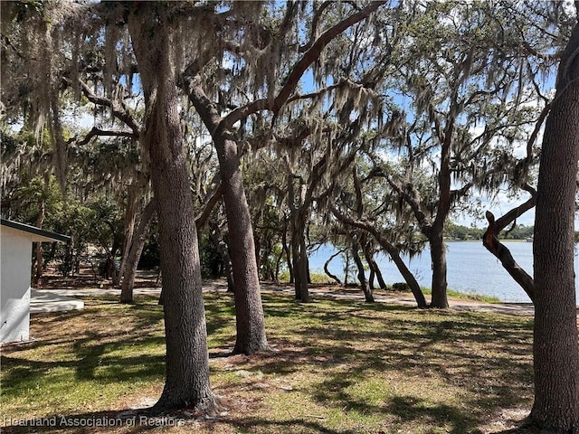 view of yard with a water view