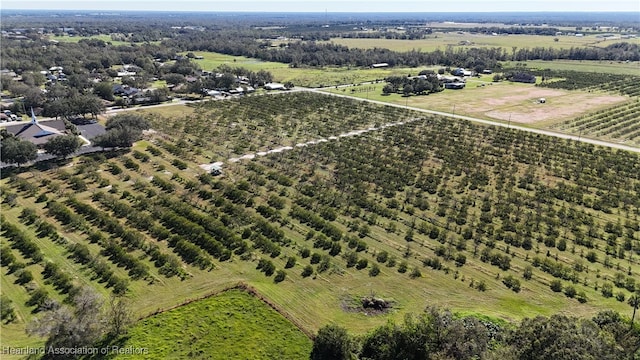 Stenstrom Rd, Wauchula, FL 33873 - photo 14