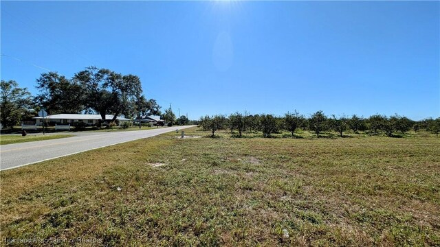 Stenstrom Rd, Wauchula, FL 33873 - photo 13