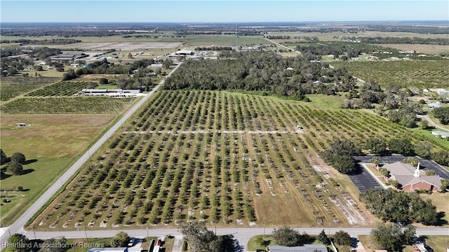 Stenstrom Rd, Wauchula, FL 33873 - photo 9
