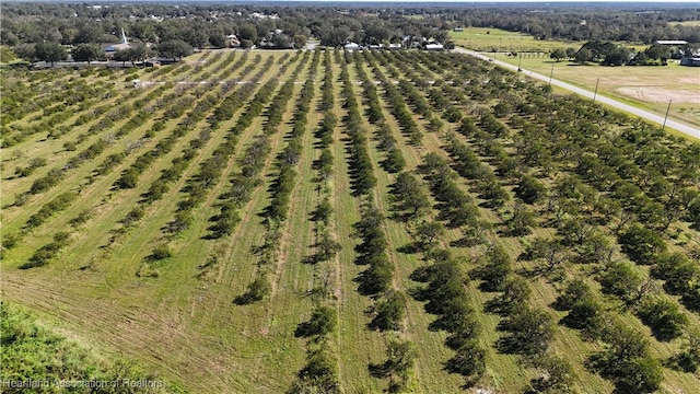 Stenstrom Rd, Wauchula, FL 33873 - photo 15