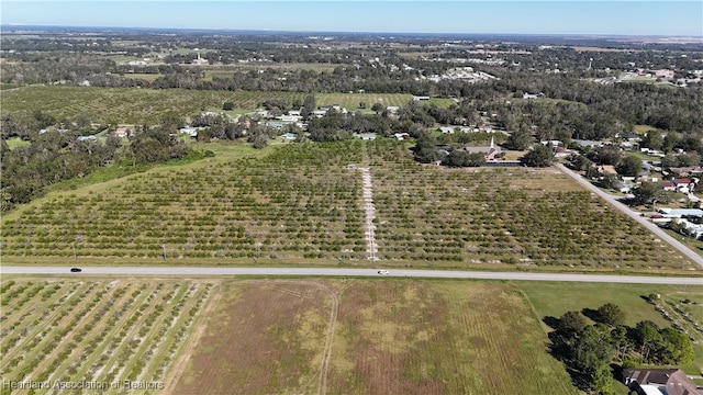 Stenstrom Rd, Wauchula, FL 33873 - photo 6