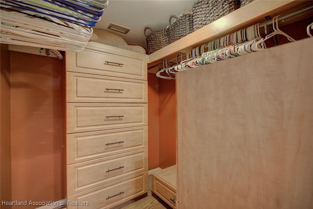 view of spacious closet