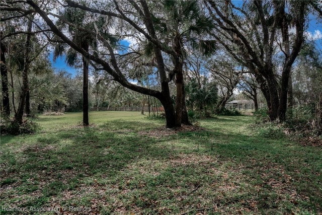 view of yard