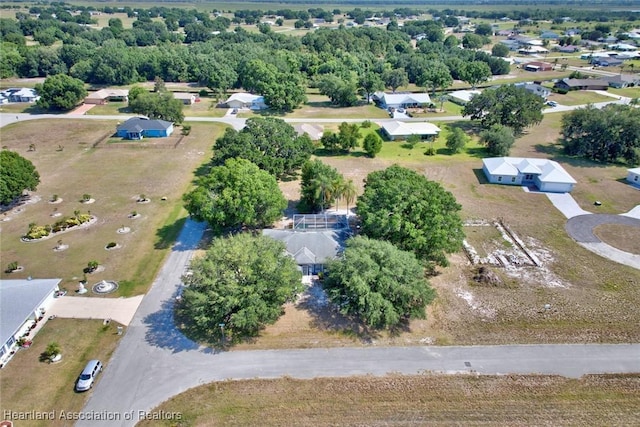 bird's eye view