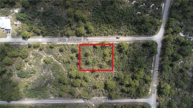 606 Ron Adams Pl, Lake Placid, FL 33852 - photo 1