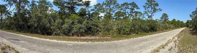 606 Ron Adams Pl, Lake Placid, FL 33852 - photo 3