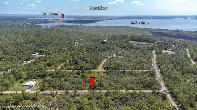 606 Ron Adams Pl, Lake Placid, FL 33852 - photo 7