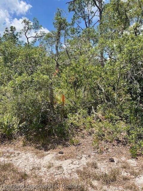 606 Ron Adams Pl, Lake Placid, FL 33852 - photo 8