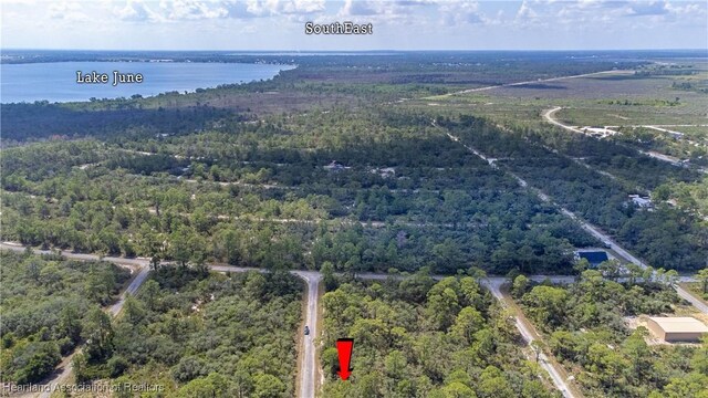 606 Ron Adams Pl, Lake Placid, FL 33852 - photo 5