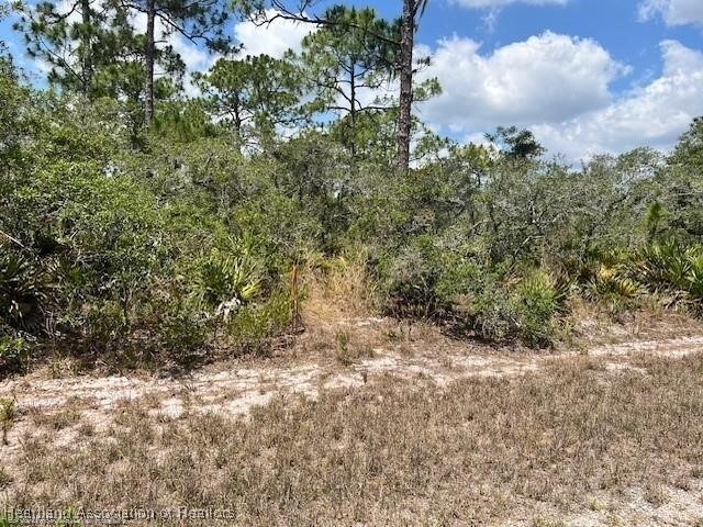 606 Ron Adams Pl, Lake Placid, FL 33852 - photo 9