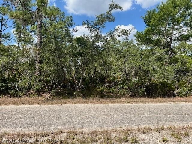606 Ron Adams Pl, Lake Placid, FL 33852 - photo 10