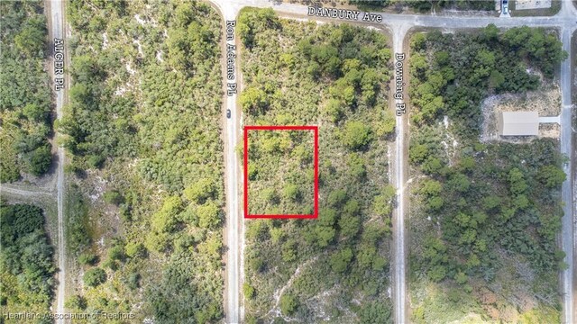 606 Ron Adams Pl, Lake Placid, FL 33852 - photo 2