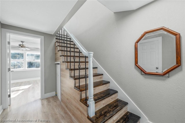 stairs featuring wood-type flooring and ceiling fan