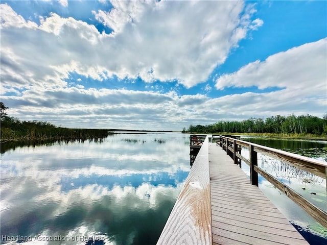 dock area featuring a water view