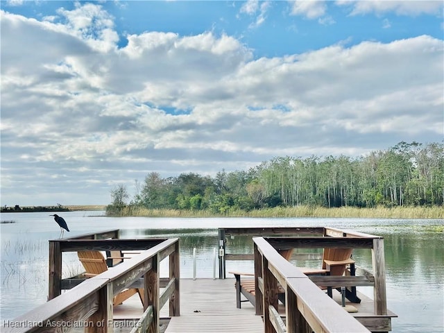 dock area with a water view