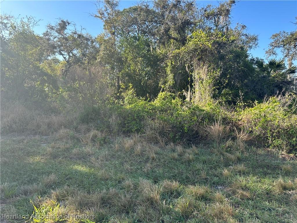 3022 Jacaranda Ave, Lake Placid, FL 33852 - photo 2