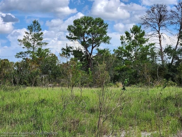 Listing photo 2 for 730 Archie Summers Rd, Lake Placid FL 33852