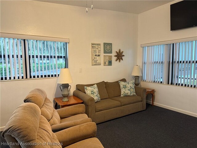 735 S Lakeview Rd Unit 6, Lake Placid, FL 33852 - photo 31