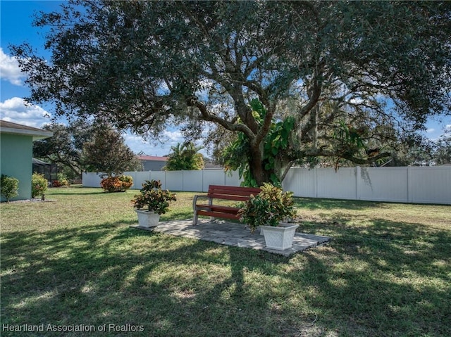 view of yard with a patio