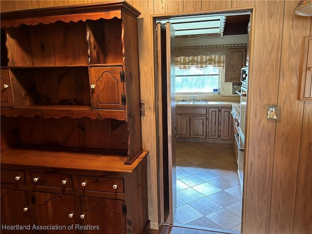 corridor featuring wooden walls and sink