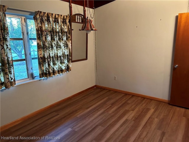 unfurnished dining area with wood-type flooring