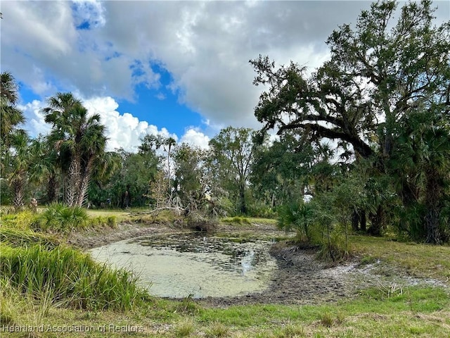 view of nature