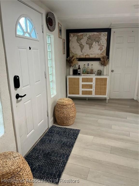 foyer entrance featuring light wood-type flooring